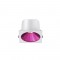 Collerettes de couleur au choix pour Miror 7W/14W/21W et Shine 7W/14W